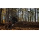 Talaria Sting - Off-Road Talaria Sting - Off-Road